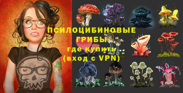 гидропоника Лабытнанги