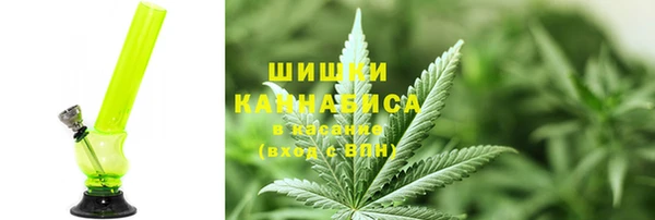 молекула духа Фёдоровский