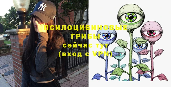 a pvp Лагань