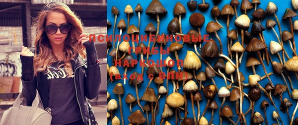 ECSTASY Калининец