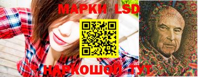 мдма Кингисепп