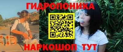шишки Кинель