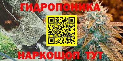 метадон Кимры