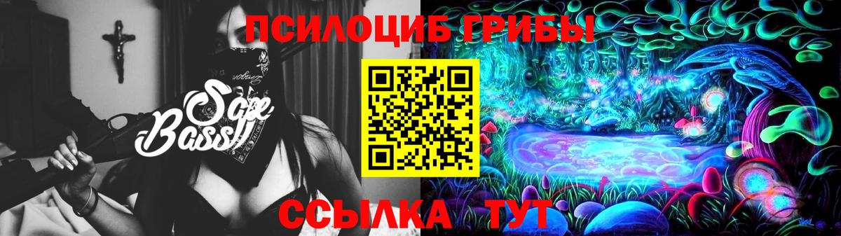 Псилоцибиновые грибы Psilocybe Тамбов